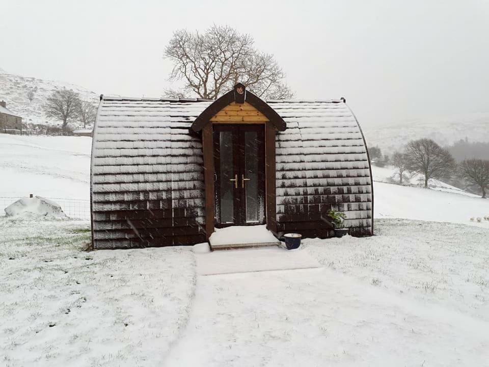 Bwlcheinion Sea View Glamping Hotel Machynlleth Exterior photo